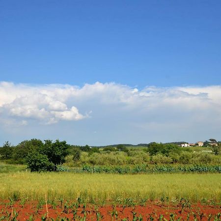 Apartments Sv. Pelegrin Umag Zewnętrze zdjęcie