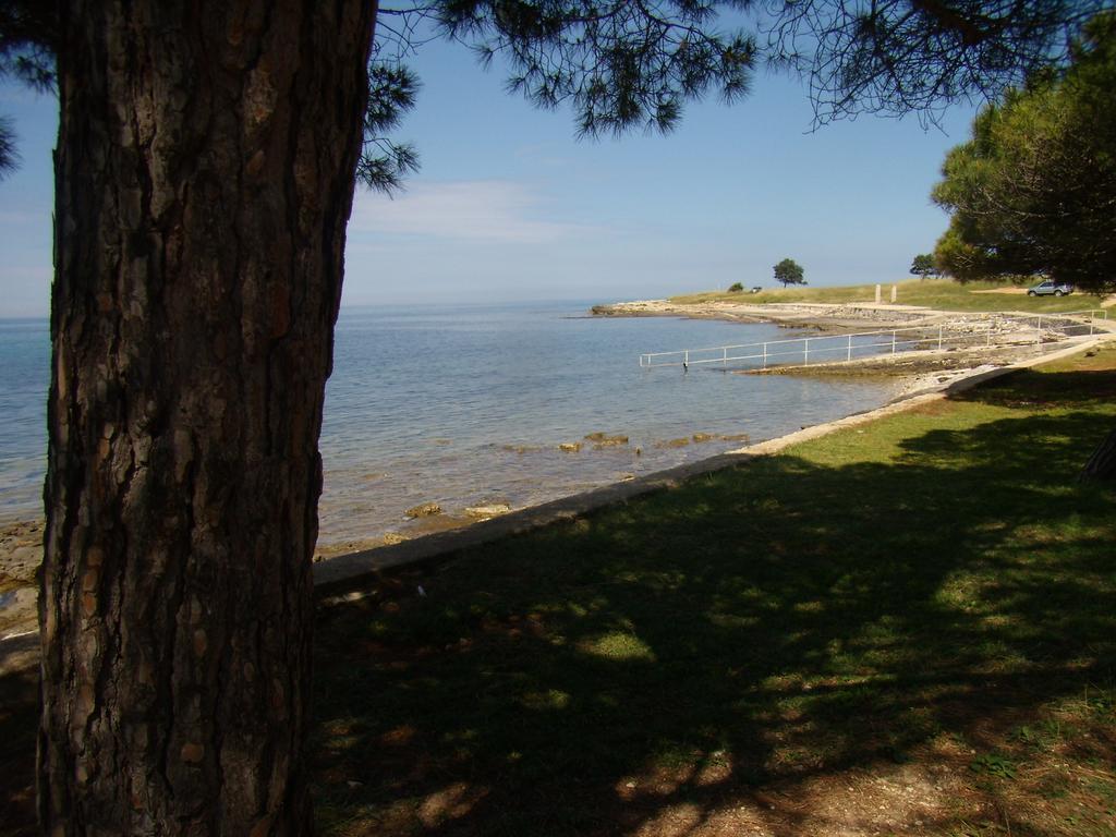 Apartments Sv. Pelegrin Umag Zewnętrze zdjęcie